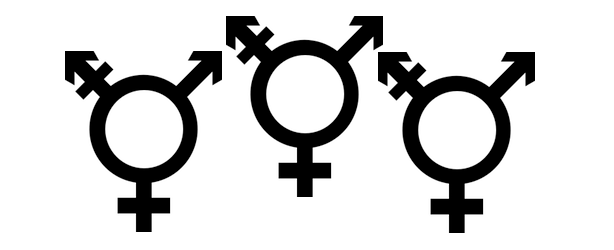 In April 2011, the WFTDA released a statement outlining its policy on gender. According to an FAQ published on their website, WFTDA created this policy in response to “frequent inquiries...